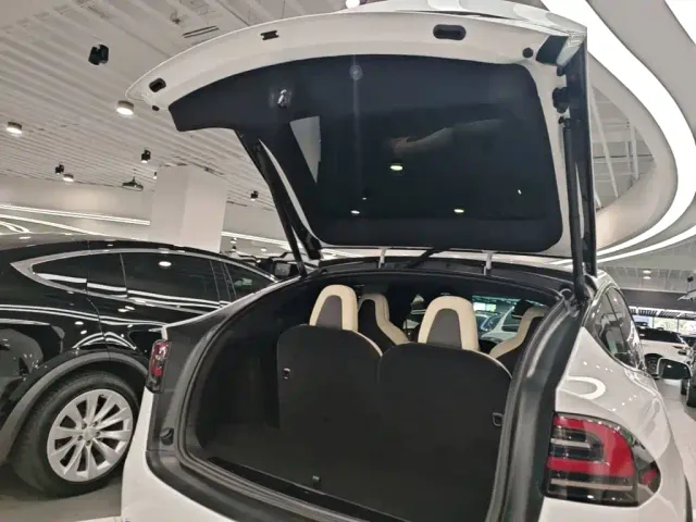 Tesla Model X — Фото автомобиля 18
