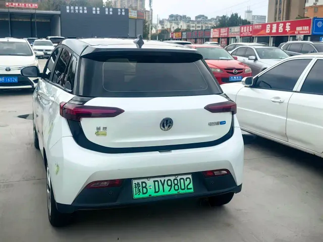 Electric House YOUNG Guang Xiaoxin — Фото автомобиля 5