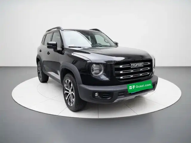 Haval Haval Big Dog 2022 1.5T DCT FWD Border Collie Edition — Фото автомобиля 3