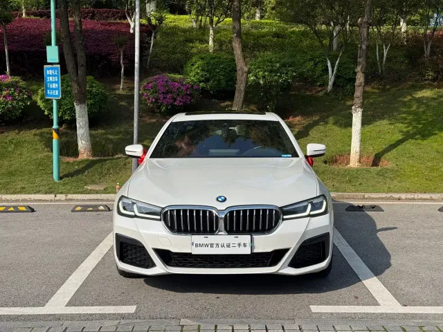 BMW 5 Series — Фото автомобиля 2