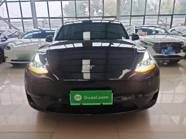 Tesla Model Y — Фото автомобиля 2