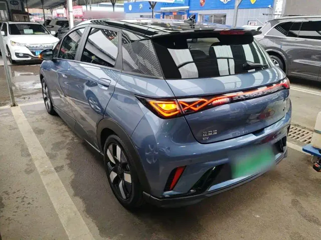 BYD Dolphin — Фото автомобиля 4