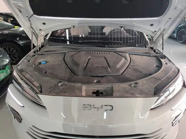 BYD Song PLUS — Фото автомобиля 19