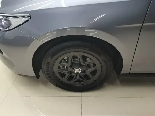 BYD Qin PLUS — Фото автомобиля 22
