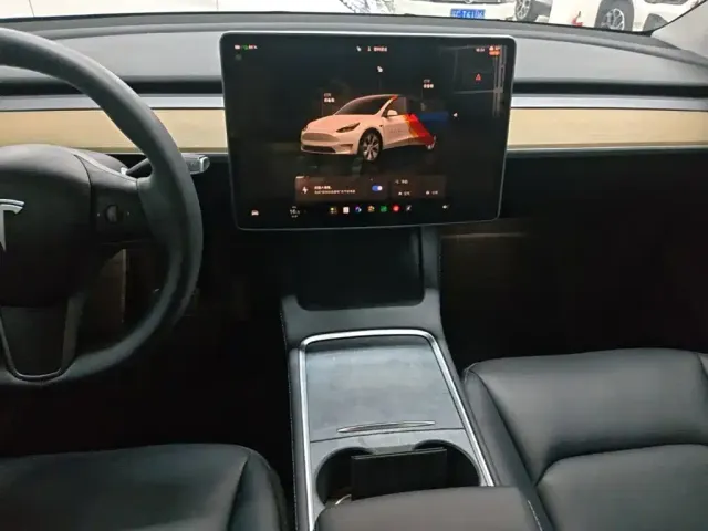 Tesla Model Y — Фото автомобиля 12