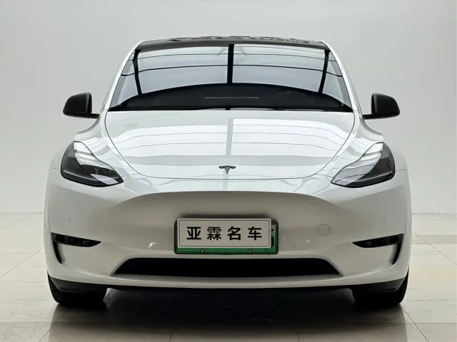 Tesla Model Y — Фото автомобиля 2