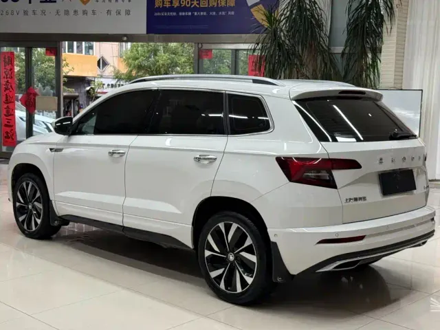 Skoda Karoq — Фото автомобиля 6