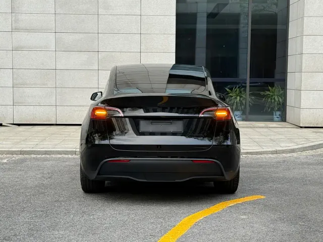 Tesla Model Y — Фото автомобиля 19