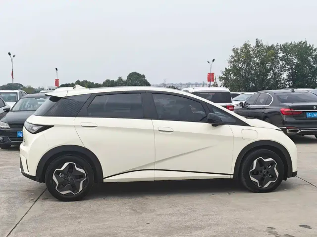 BYD Dolphin — Фото автомобиля 4