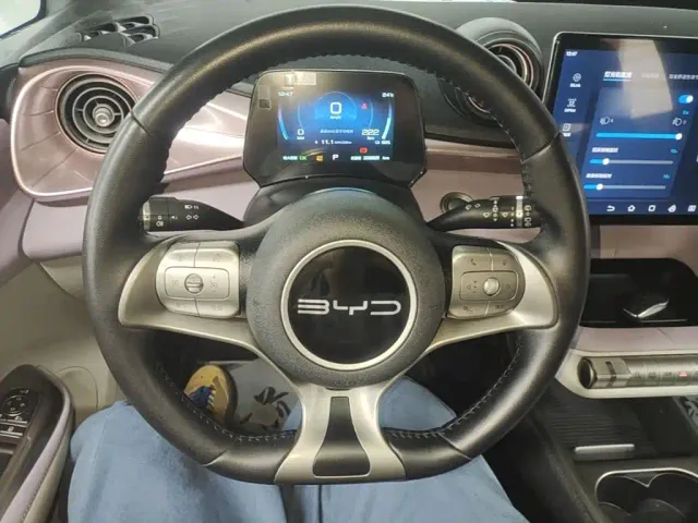 BYD Dolphin — Фото автомобиля 10