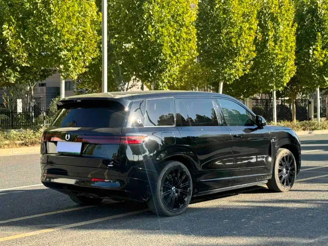Denza N9 — Фото автомобиля 9
