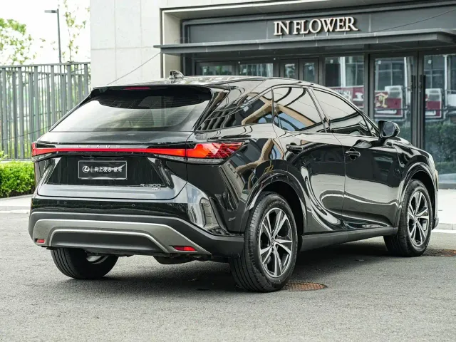 Lexus RX — Фото автомобиля 4