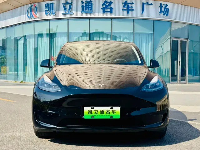 Tesla Model Y — Фото автомобиля 2