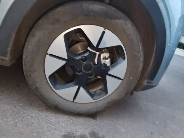 Geely Starry Wish — Фото автомобиля 24