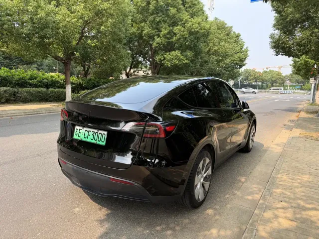 Tesla Model Y — Фото автомобиля 19