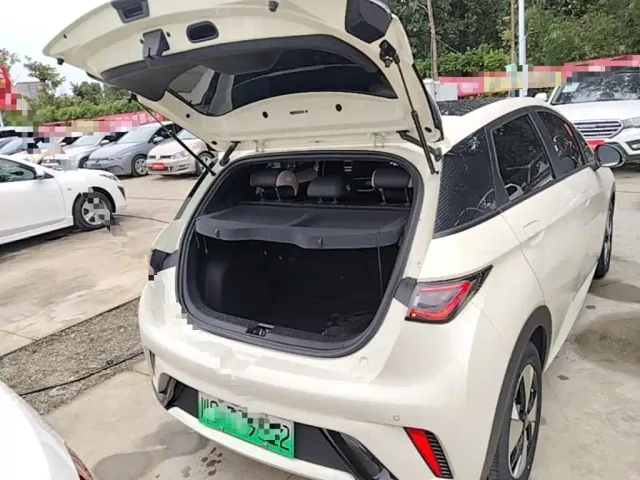 BYD Dolphin — Фото автомобиля 18