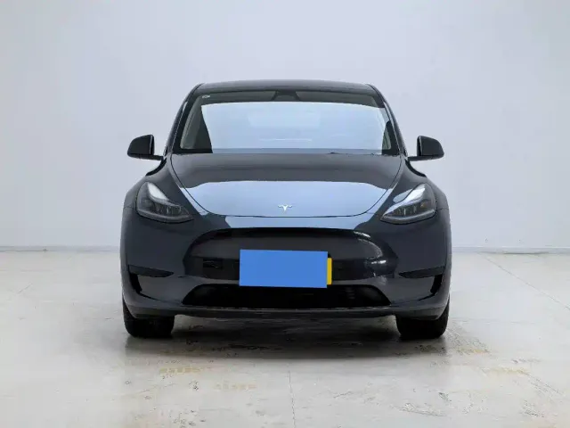 Tesla Model Y — Фото автомобиля 2