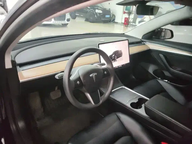Tesla Model 3 — Фото автомобиля 9
