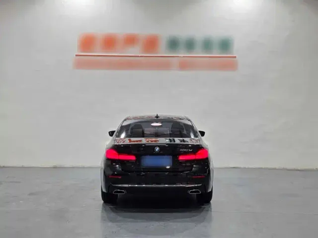 BMW 5 Series — Фото автомобиля 8