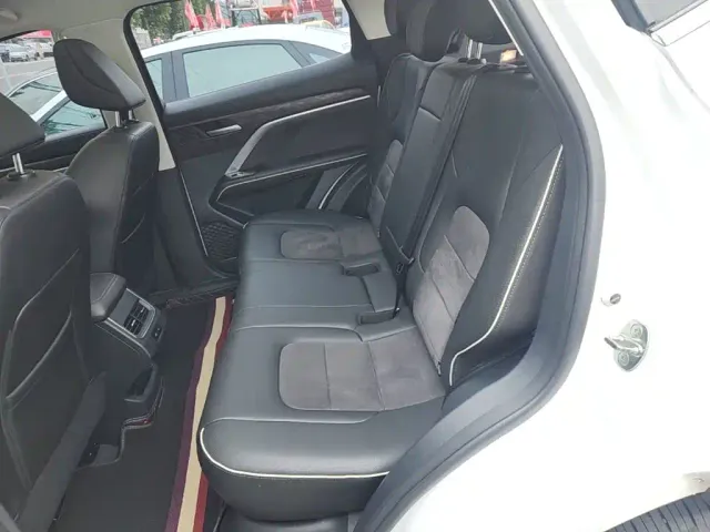 Haval Haval H6 2021 Model National Trend Edition 1.5T Auto Champion — Фото автомобиля 16