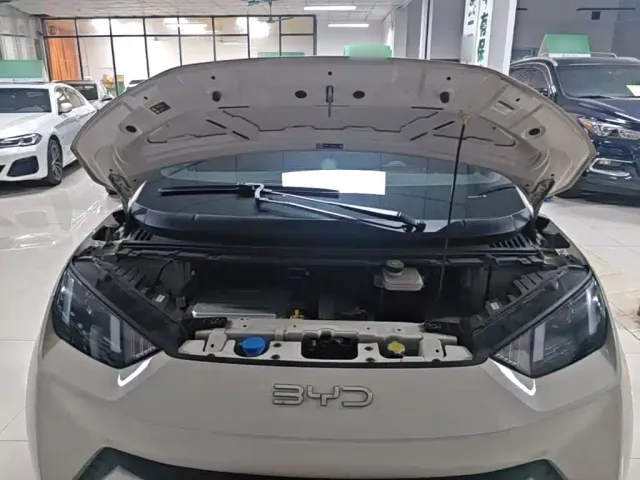 BYD Seagull — Фото автомобиля 19
