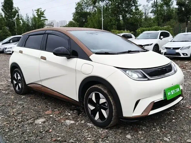BYD Dolphin — Фото автомобиля 3