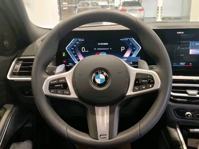 BMW 3 Series — Фото автомобиля 10