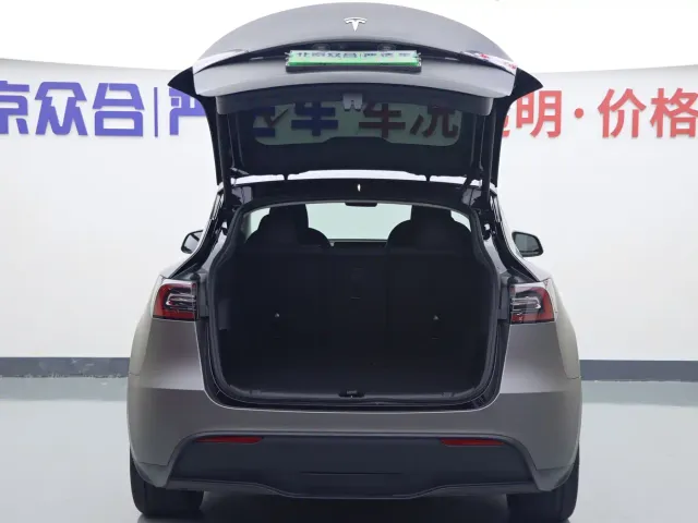 Tesla Model Y — Фото автомобиля 19