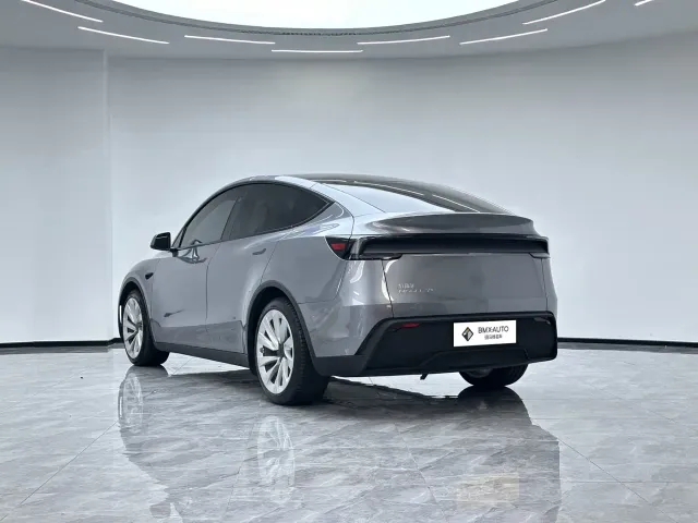 Tesla Model Y 2025 Facelift Long Range All-Wheel Drive — Фото автомобиля 8