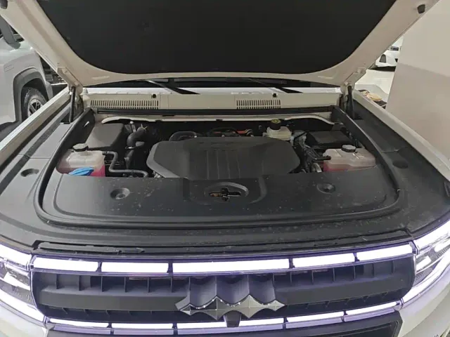 BYD FangChengBao Leopard 5 — Фото автомобиля 19