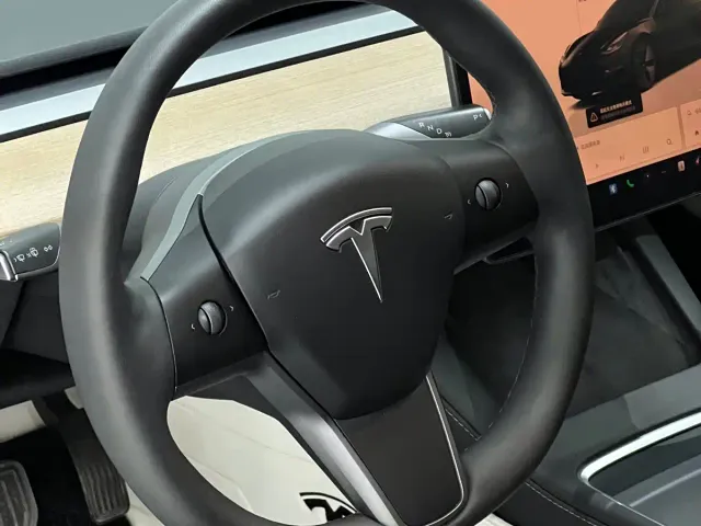 Tesla Model 3 — Фото автомобиля 15