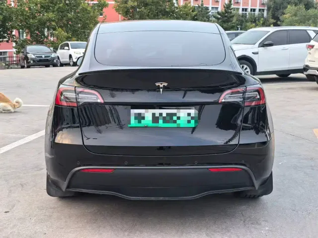 Tesla Model Y — Фото автомобиля 8