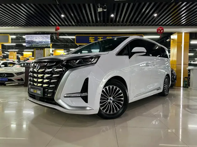 Фотография автомобиля — Denza D9