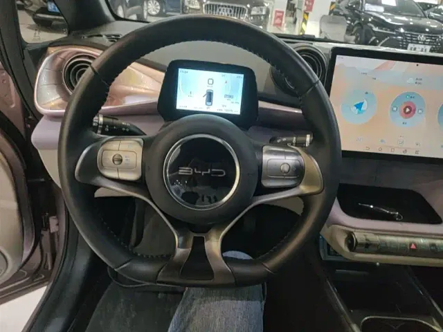 BYD Dolphin — Фото автомобиля 10