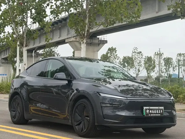 Tesla Model Y — Фото автомобиля 3