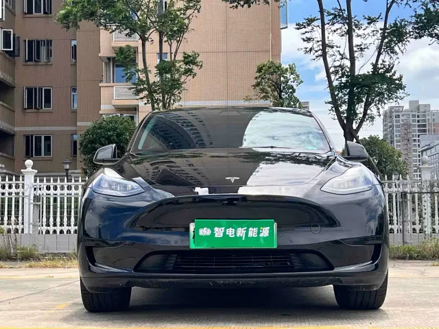Tesla Model Y — Фото автомобиля 2