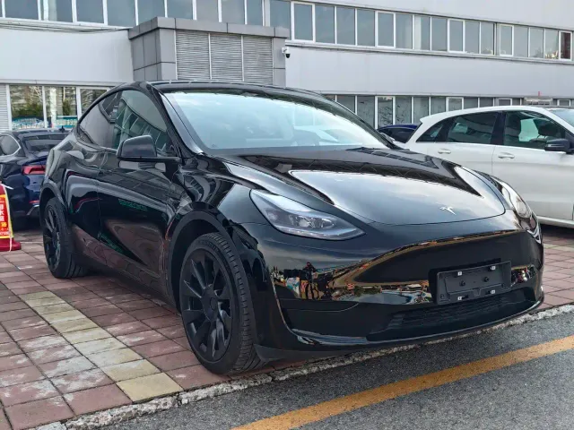 Tesla Model Y — Фото автомобиля 2
