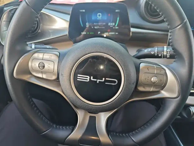 BYD Dolphin — Фото автомобиля 10