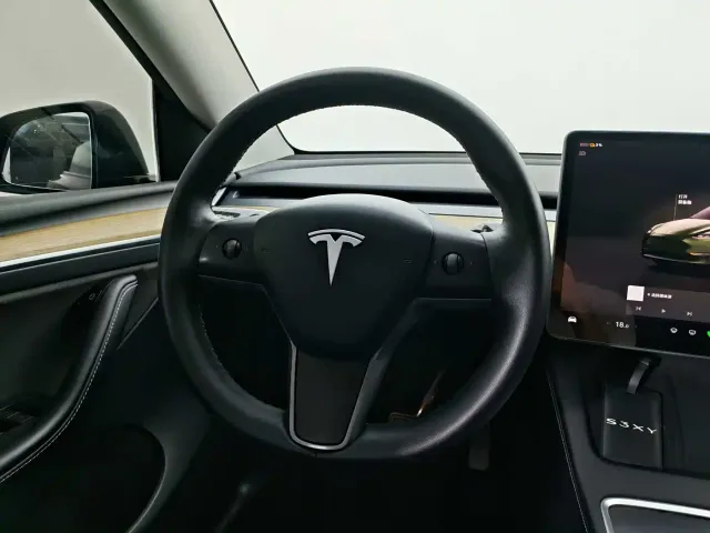Tesla Model Y — Фото автомобиля 12