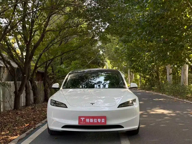 Tesla Model 3 — Фото автомобиля 2