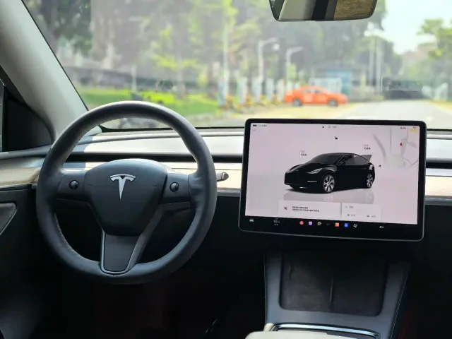 Tesla Model Y — Фото автомобиля 10