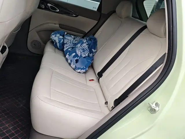 Geely Starry Wish — Фото автомобиля 16