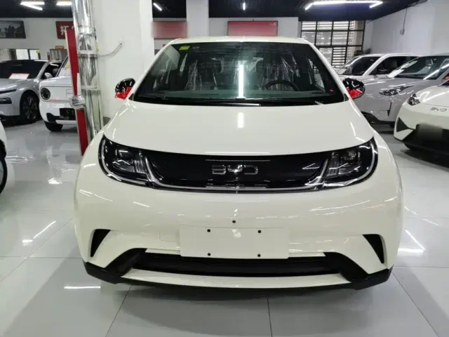 BYD Dolphin — Фото автомобиля 2