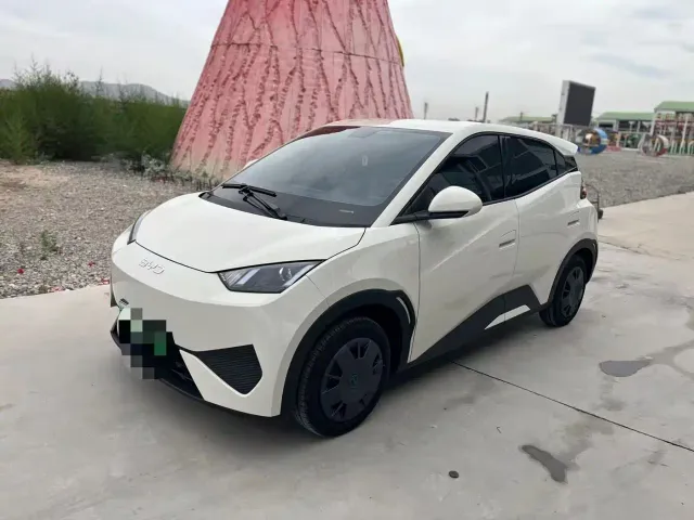 Фотография автомобиля — BYD Seagull