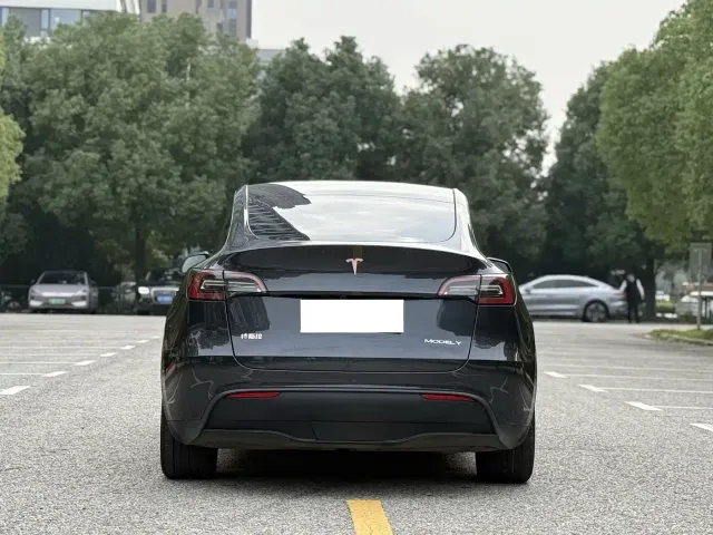 Tesla Model Y — Фото автомобиля 5
