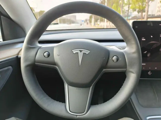 Tesla Model Y — Фото автомобиля 8