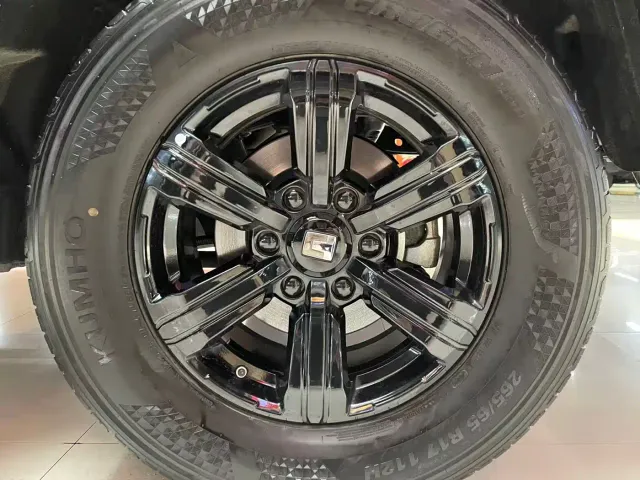 Tank Tank 300 2024 Model 2.0T Challenger — Фото автомобиля 18