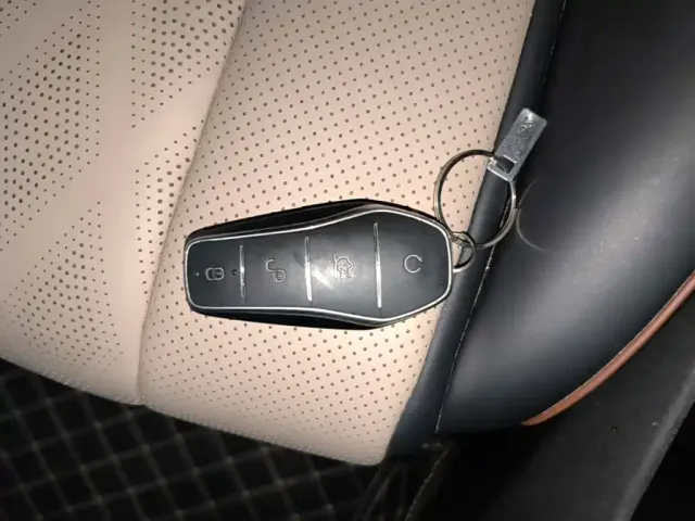 BYD Dolphin 2024 Glory Edition 420km Freedom Edition — Фото автомобиля 8