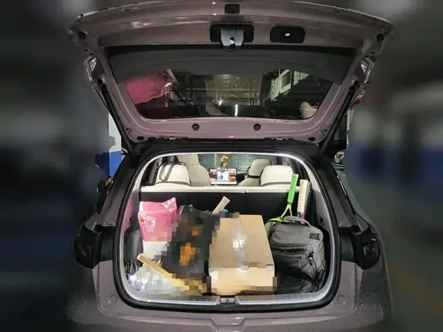 Geely Starry Wish — Фото автомобиля 13