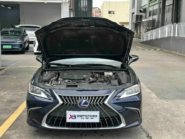 Lexus Lexus ES 2022 300h Excellence Edition — Фото автомобиля 6